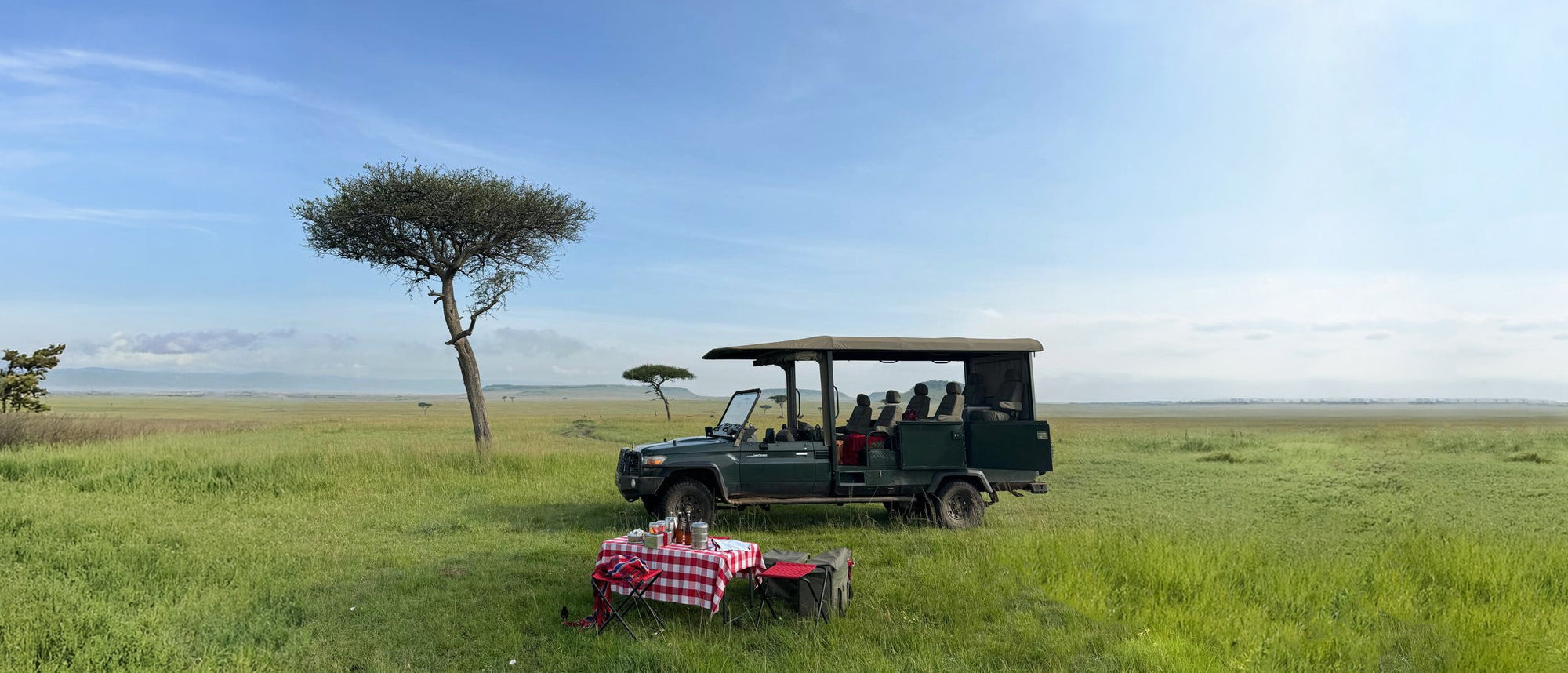 Anita’s Safari Selects